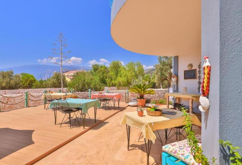 בית מלון כפרי Lacitrus Villa &