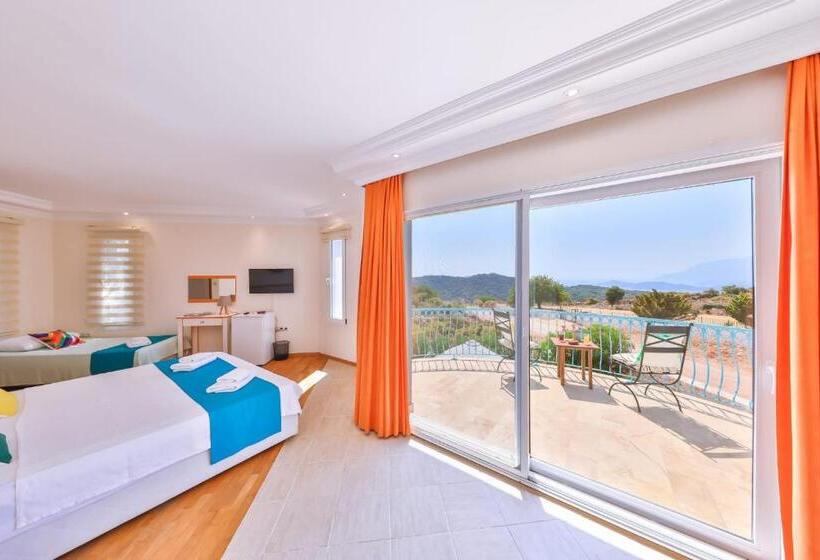 בית מלון כפרי Lacitrus Villa &