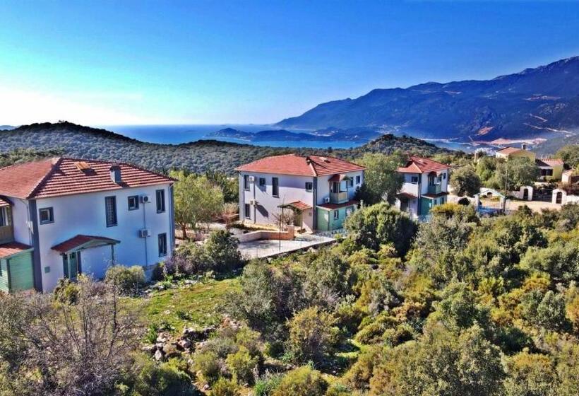 בית מלון כפרי Lacitrus Villa &