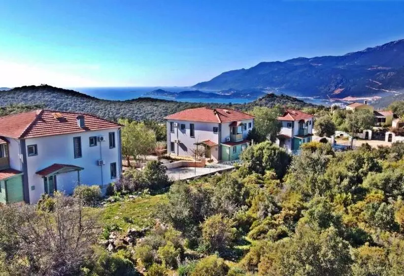 ホテル Lacitrus Villa &