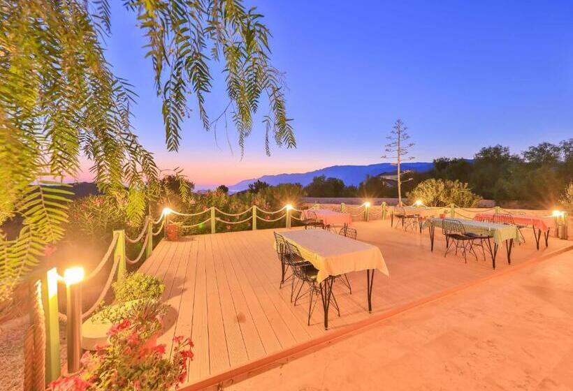 בית מלון כפרי Lacitrus Villa &