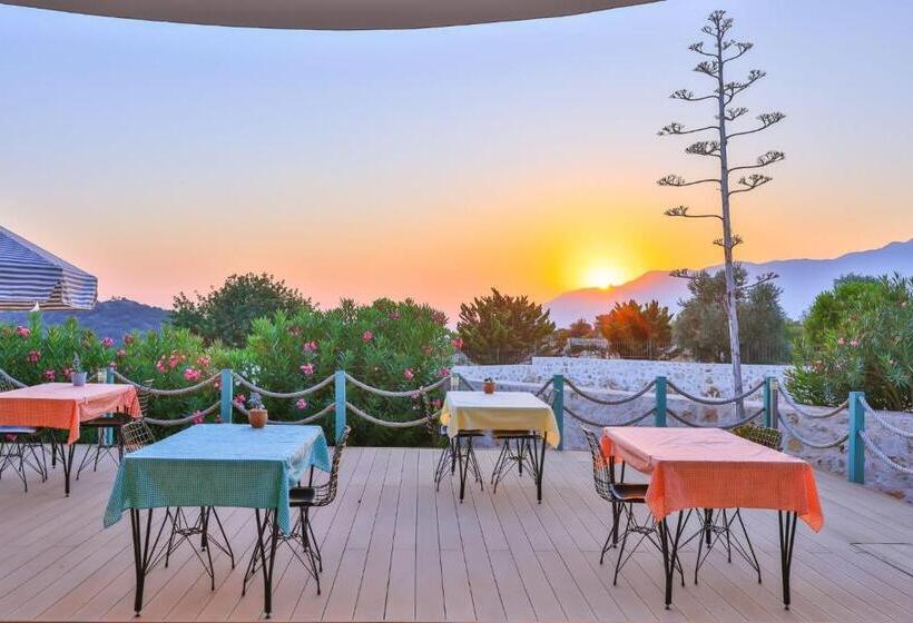 בית מלון כפרי Lacitrus Villa &