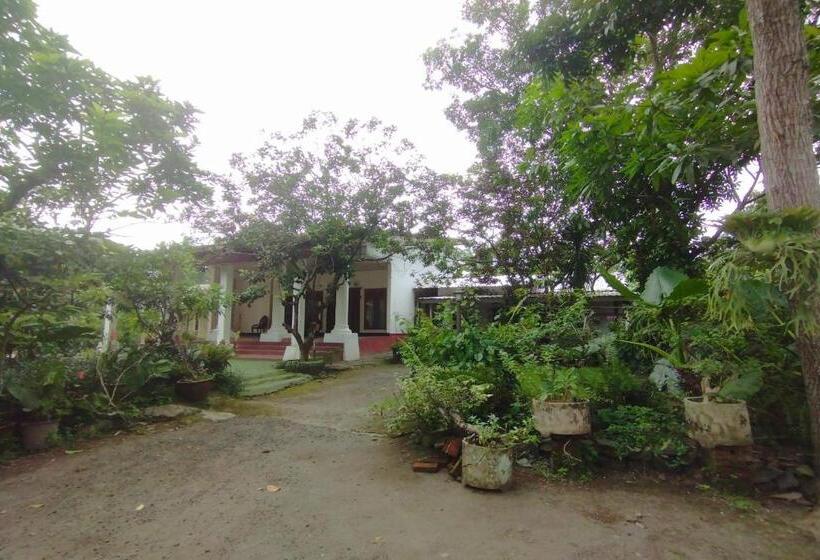 Hotel Oyo 93618 Homestay Bonjeruk