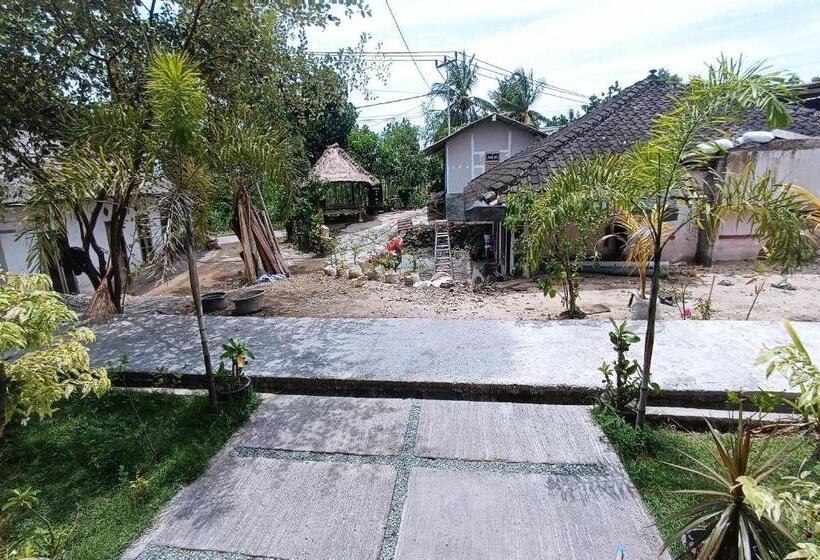 Hotel Oyo 93638 Lotus Guest House