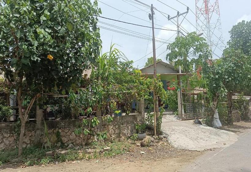 Hotel Oyo 93638 Lotus Guest House