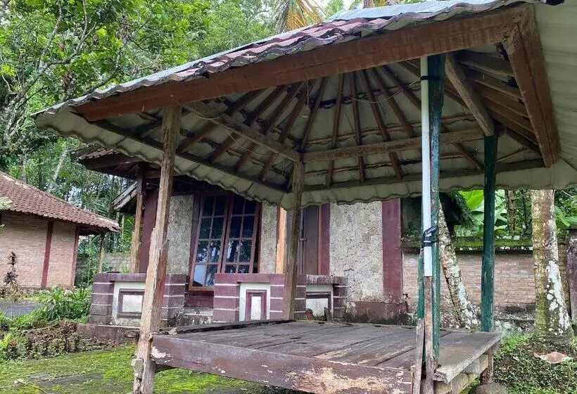 ホテル Oyo 93638 Lotus Guest House