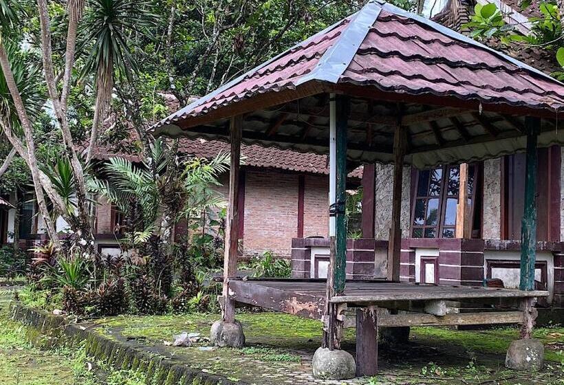 Hotel Oyo 93638 Lotus Guest House