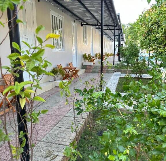 هتل Pharos Guesthouse