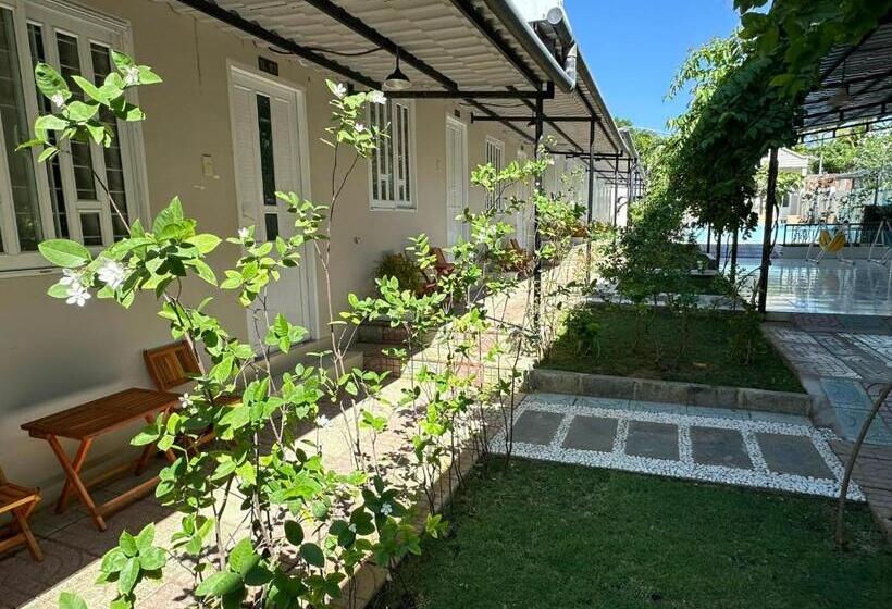 هتل Pharos Guesthouse