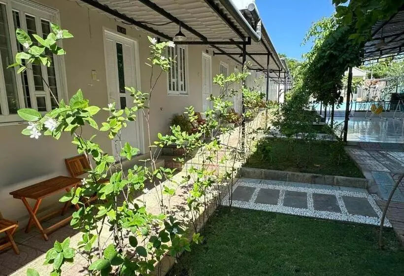 هتل Pharos Guesthouse