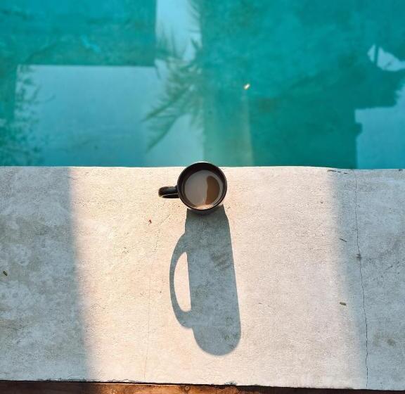 فندق Punta Tamarindo