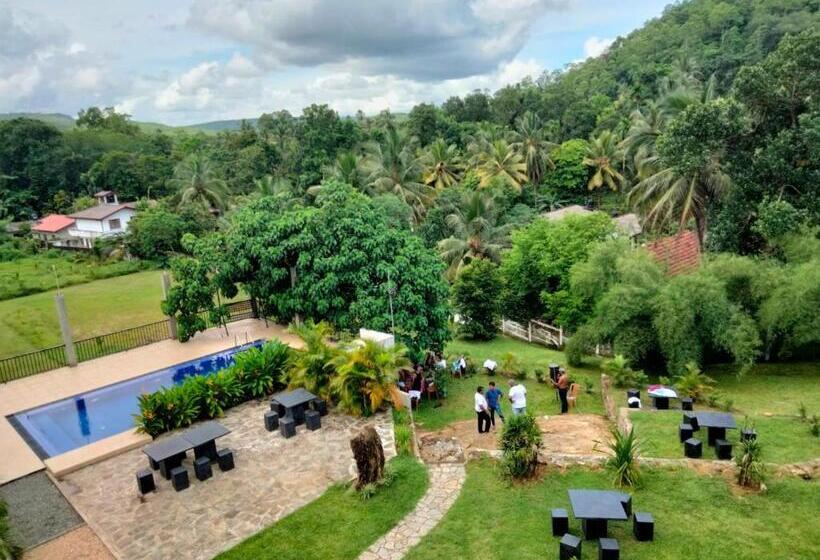 فندق Rock View Inn