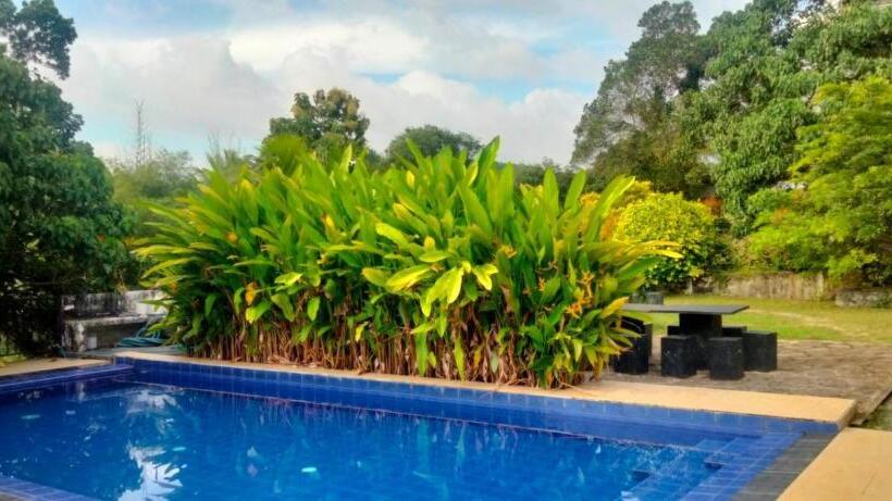 فندق Rock View Inn