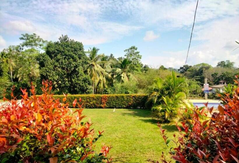 فندق Rock View Inn