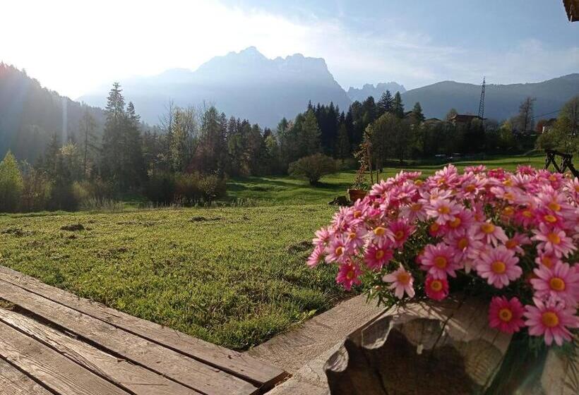 Pensjonat Pedibosco Orange