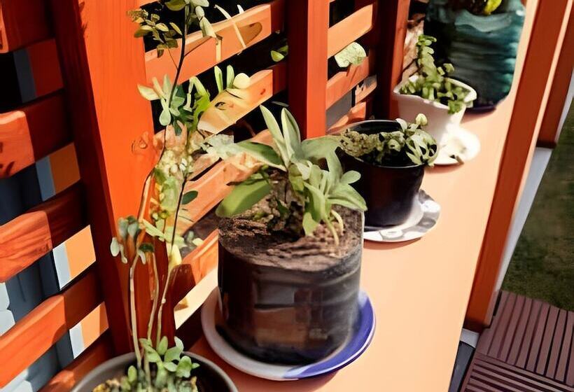 ベッドアンドブレックファースト Pouso Do Guarani   200m Do Mar|wifi|ar Cond