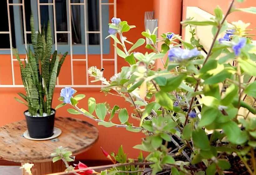 ベッドアンドブレックファースト Pouso Do Guarani   200m Do Mar|wifi|ar Cond