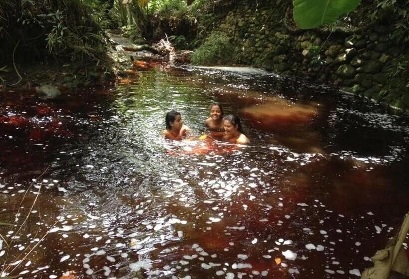 Hospedaria Quintal Dos Sonhos