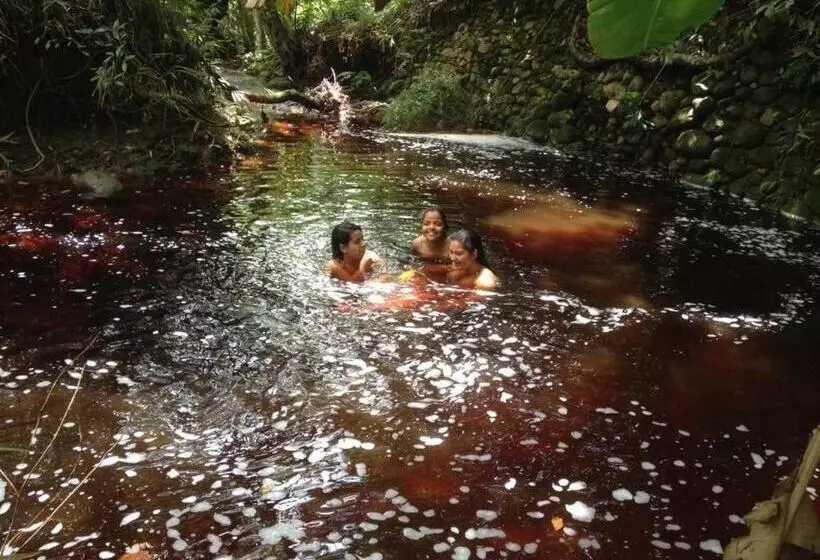 Hospedaria Quintal Dos Sonhos