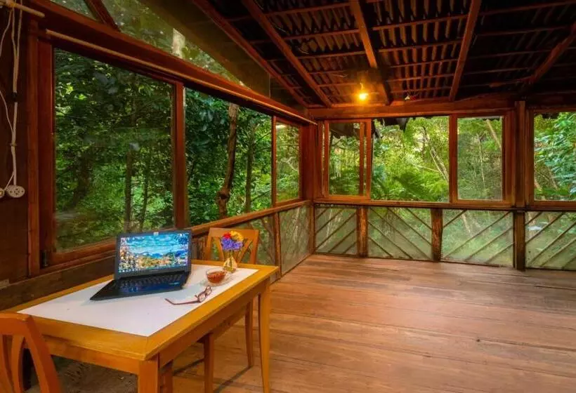 Hospedaria Quintal Dos Sonhos