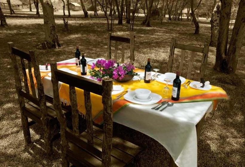 ホテル Nsya Camp Manyara