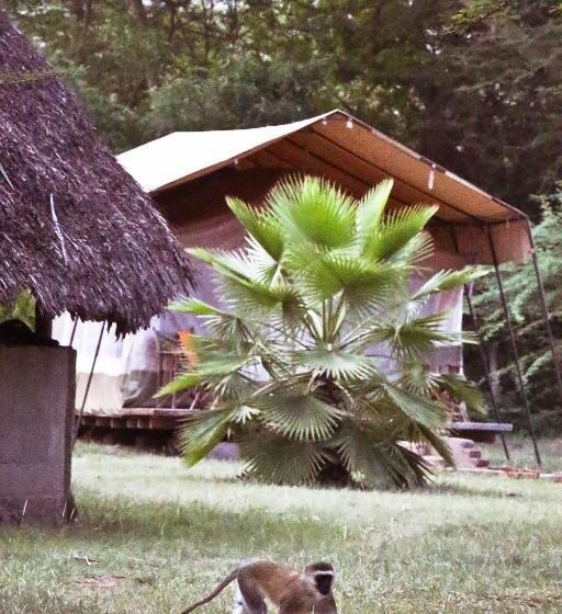 ホテル Nsya Camp Manyara