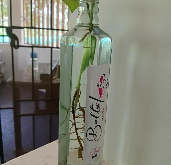 هتل Smiley Resort