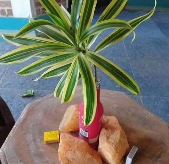 هتل Smiley Resort