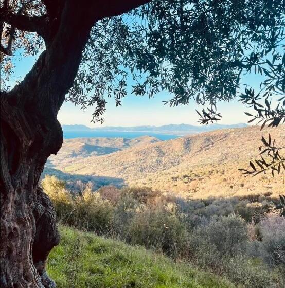 פנסיון La Scienza Nuova