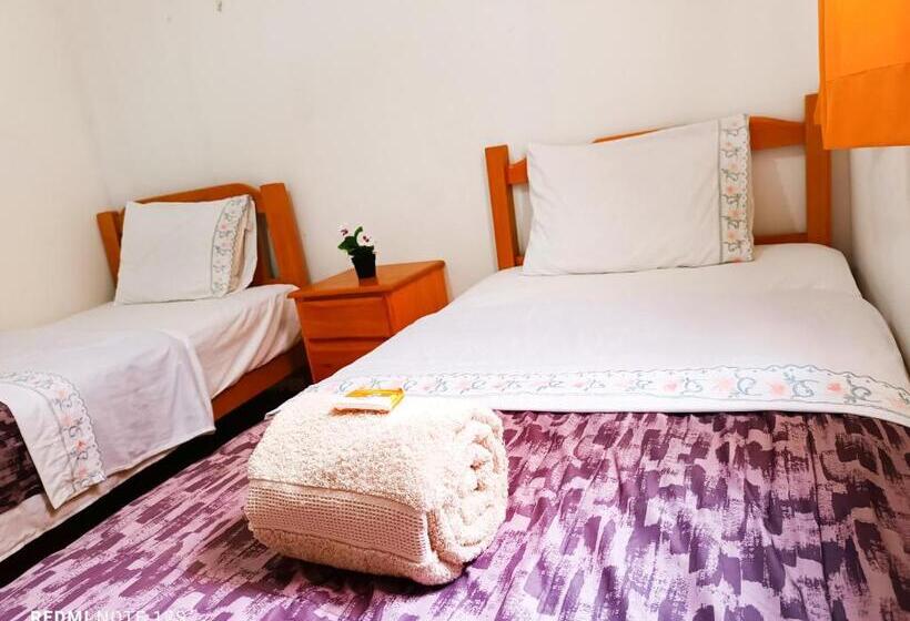 酒店 Hospedaje Starfish Paracas Sucursal Ii