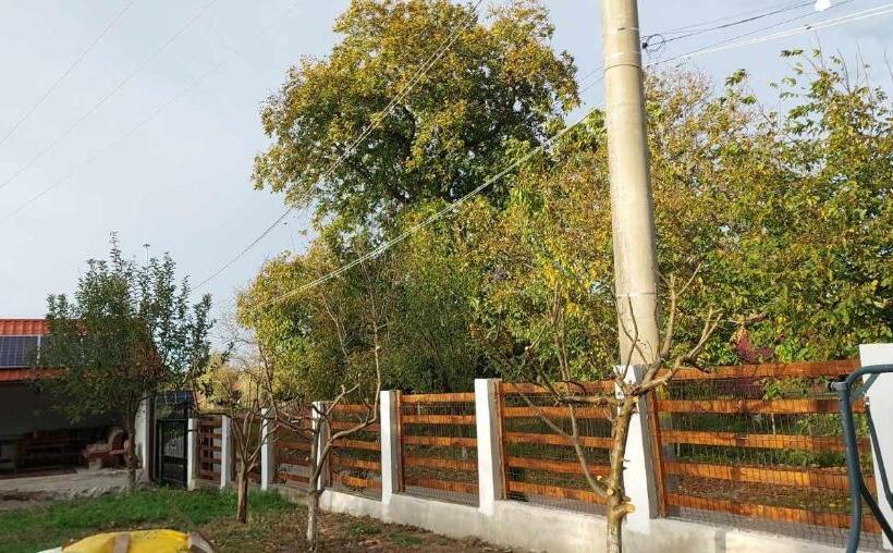 酒店 Pensiunea Agroturistica Daniel