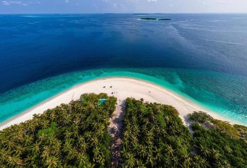 پانسیون Hanifaru Beach Inn