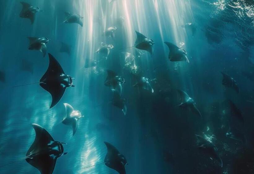 پانسیون Hanifaru Beach Inn