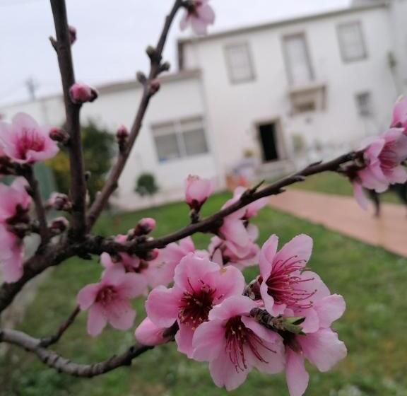 پانسیون Torre De Santiago Guest House