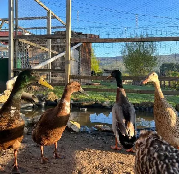Aamiaismajoitus (B&B) La Roulotte Tiny House Du Mond Idéal