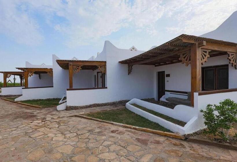 هتل Black Prince Camp