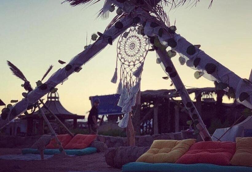 هتل Black Prince Camp