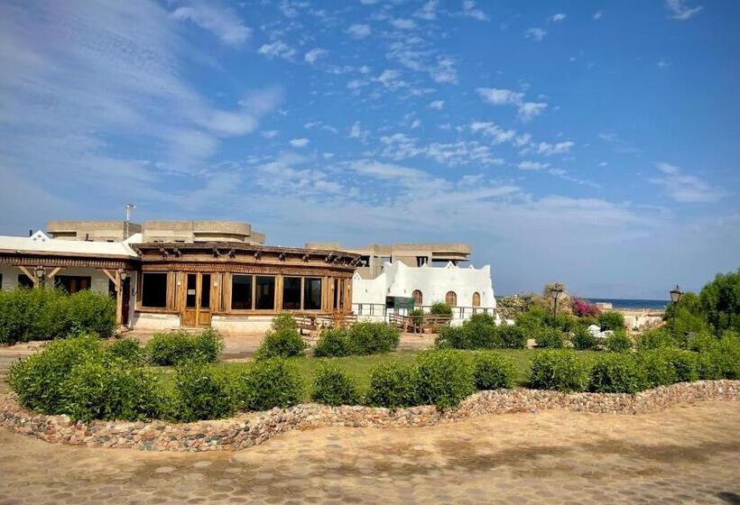 هتل Black Prince Camp