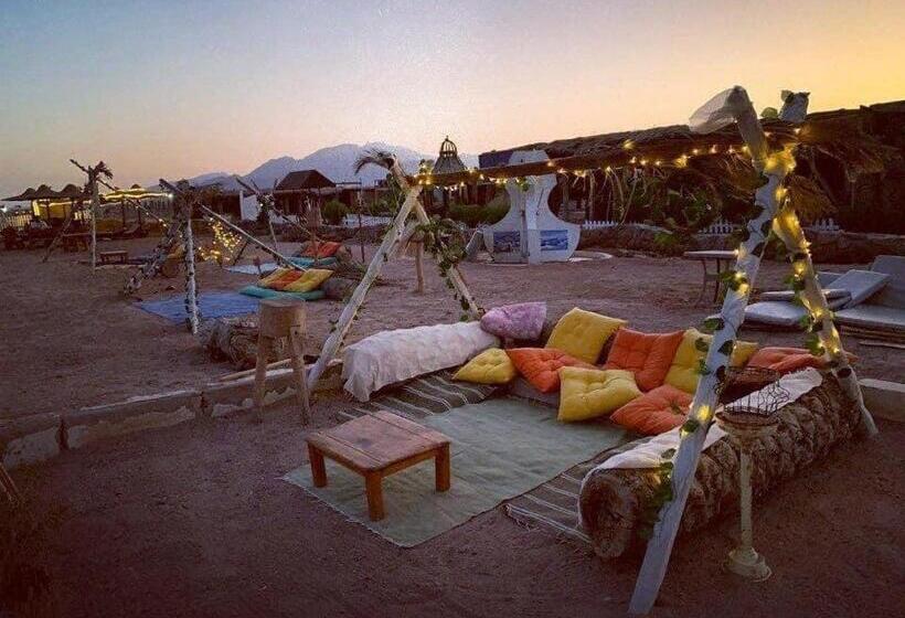 هتل Black Prince Camp