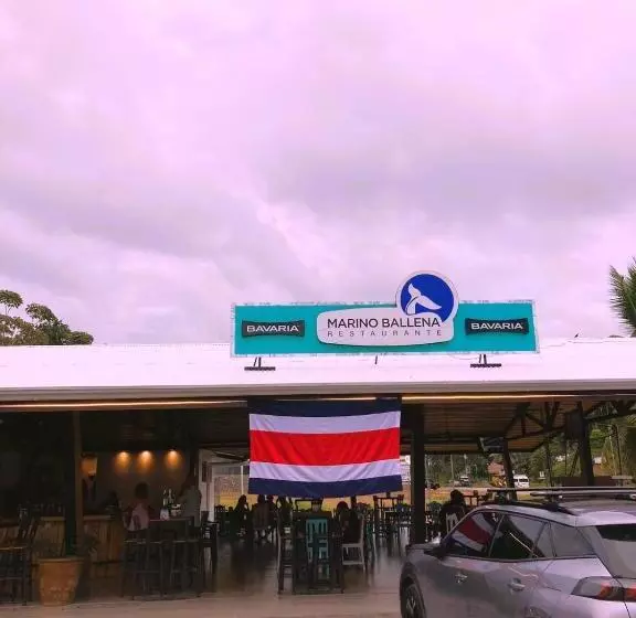 هتل Club Marino Ballena