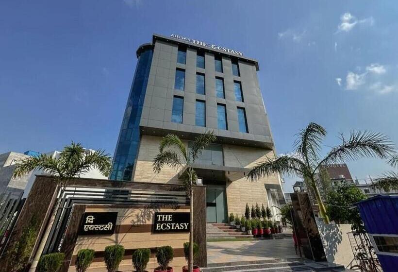 酒店 The Ecstasy