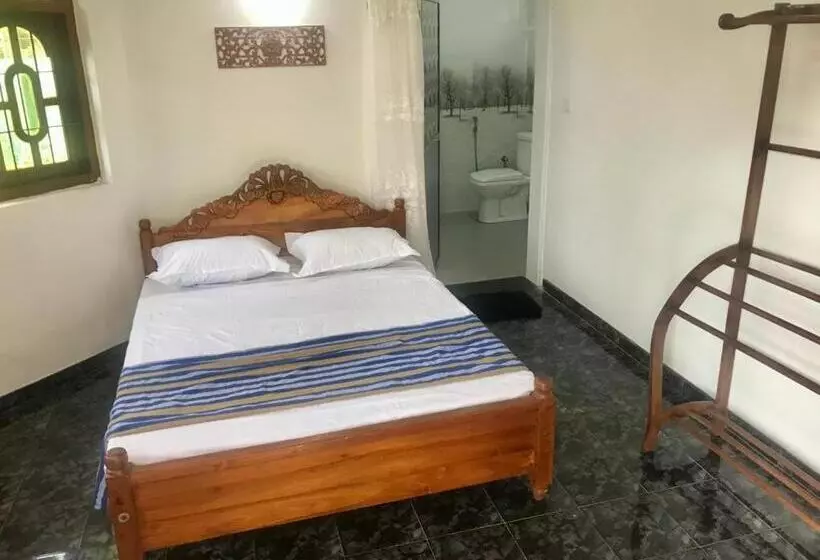 ペンション Kingz And Queenz   Negombo