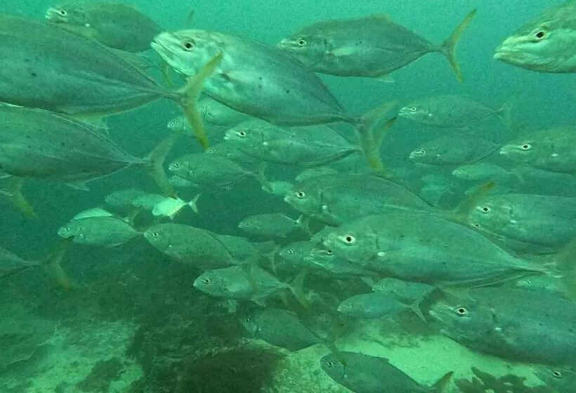 Majatalo Or Mandira Guest House