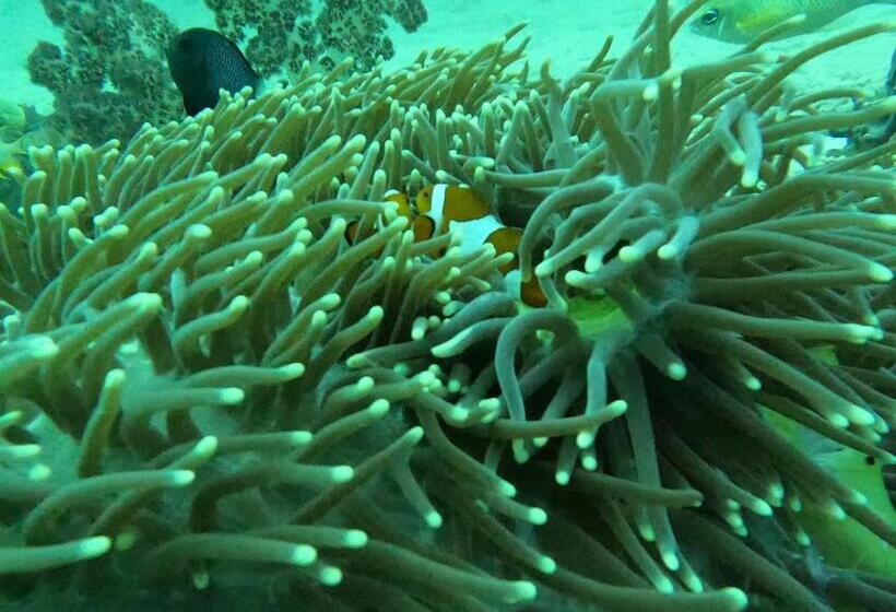 פנסיון Or Mandira Guest House