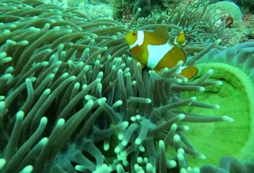 Majatalo Or Mandira Guest House