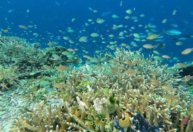 פנסיון Or Mandira Guest House