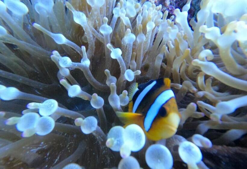 פנסיון Or Mandira Guest House