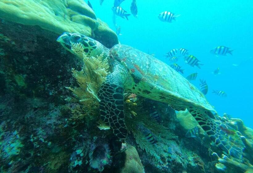 פנסיון Or Mandira Guest House