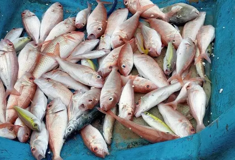 Majatalo Or Mandira Guest House