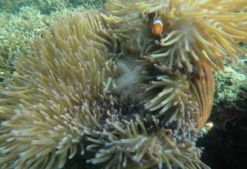 Majatalo Or Mandira Guest House